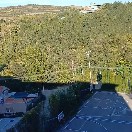 Forest River * Sokobanja