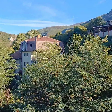 Apartman Forest River Sokobanja